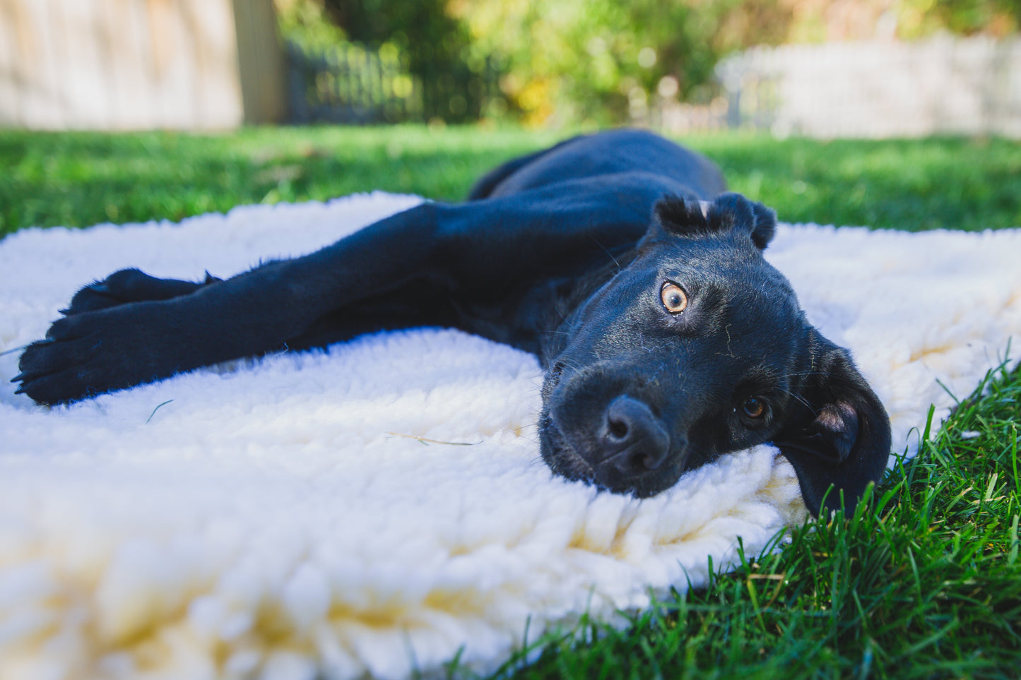 HuggleFleece® Mat Cat & Dog Bed