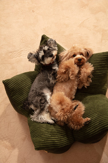 OULU X PEHOM - CUDDLE PET PILLOW BED- Navy Blue / Olive Green / Canyon Brown